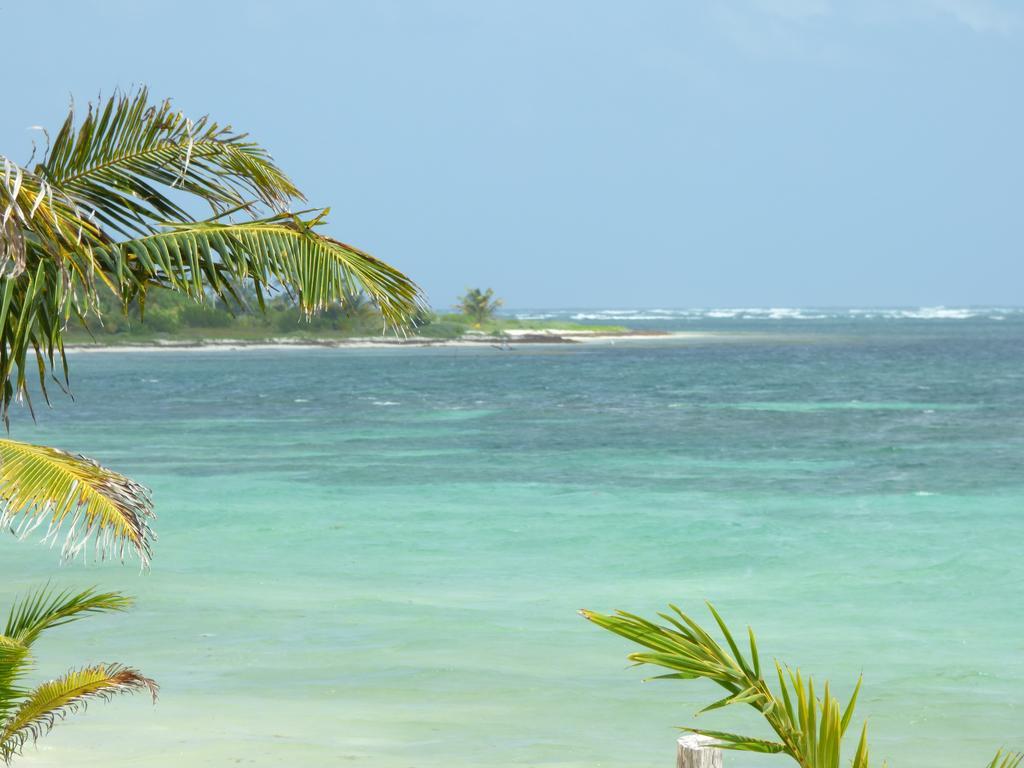 Mayan Beach Garden El Placer Zewnętrze zdjęcie