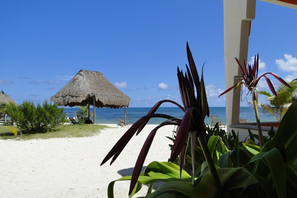 Mayan Beach Garden El Placer Zewnętrze zdjęcie