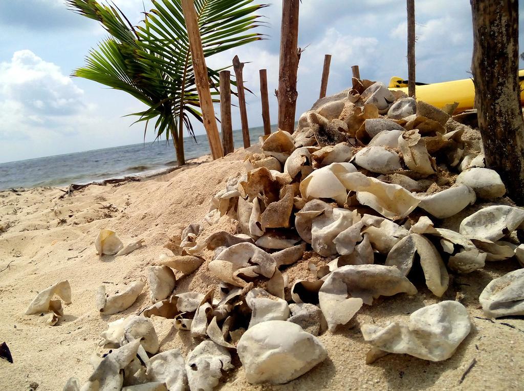 Mayan Beach Garden El Placer Zewnętrze zdjęcie